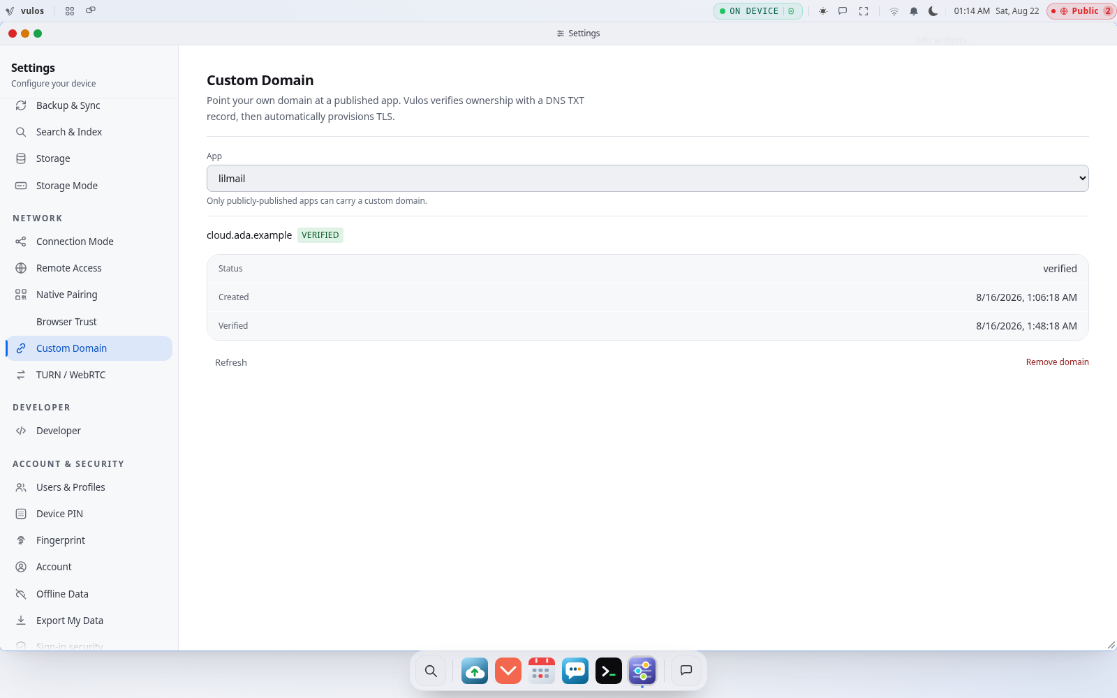 Settings → Network → Custom Domain, showing a verified domain with TLS active