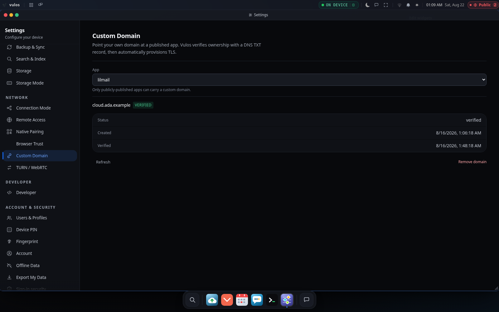 Settings → Network → Custom Domain, showing a verified domain with TLS active